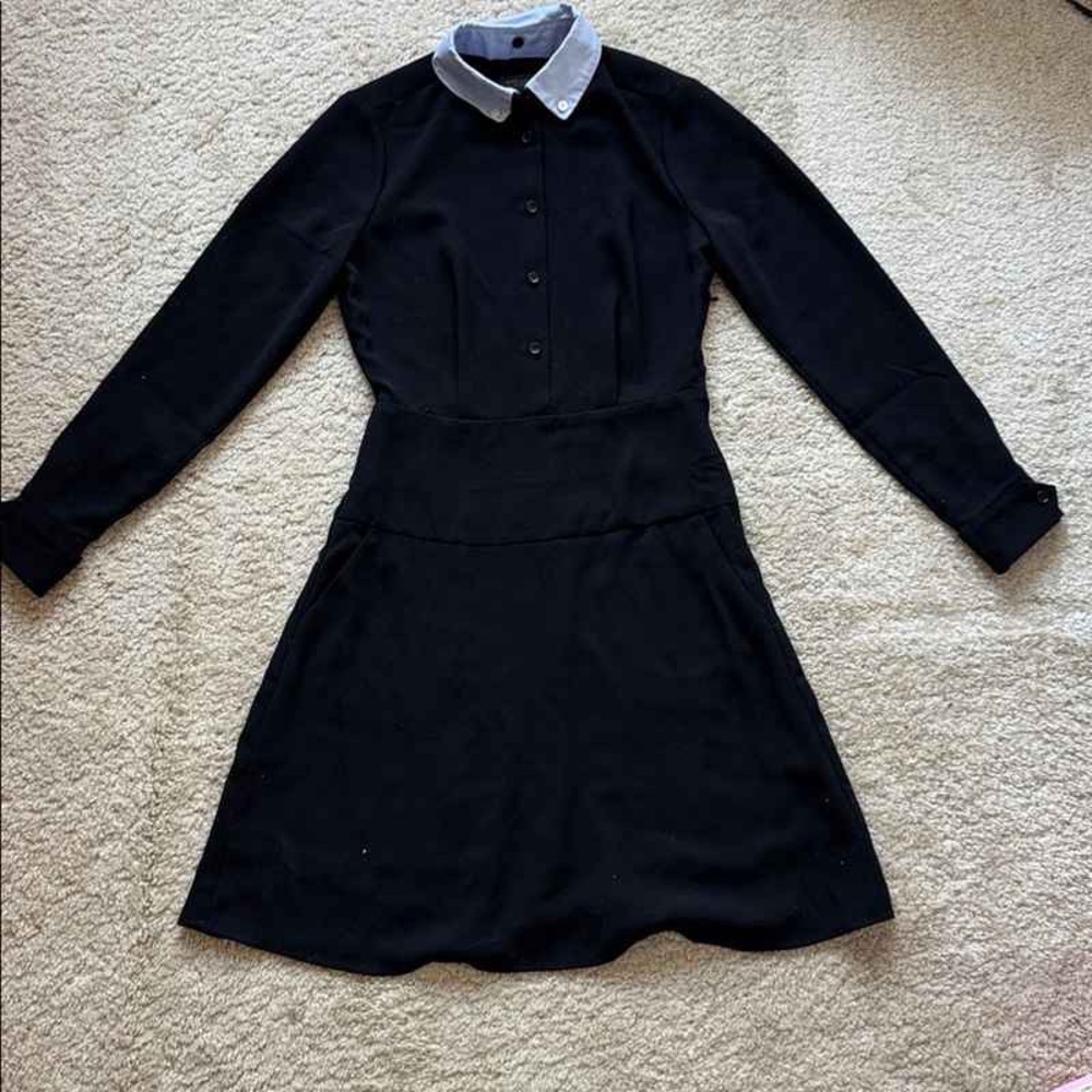 Elegant Black Dress with White Collar